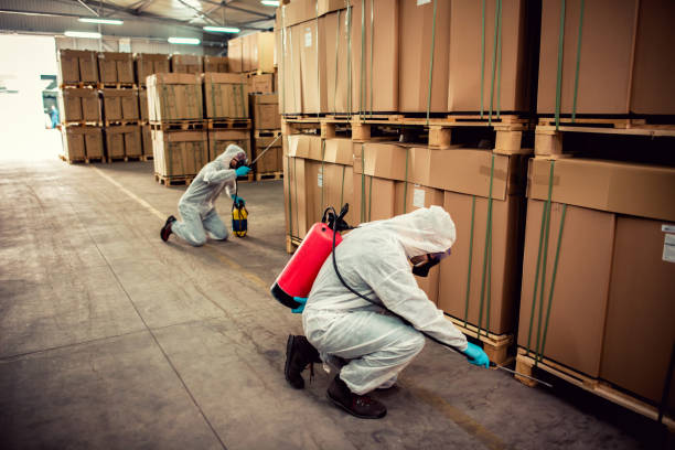 Best Pest Removal Services  in South Park, WY