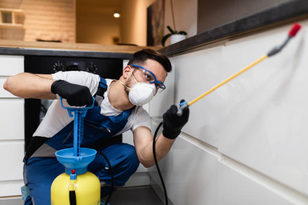 Best Bed Bug Extermination  in South Park, WY