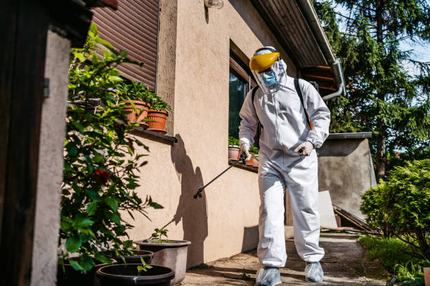 Best Mosquito Control Services  in South Park, WY