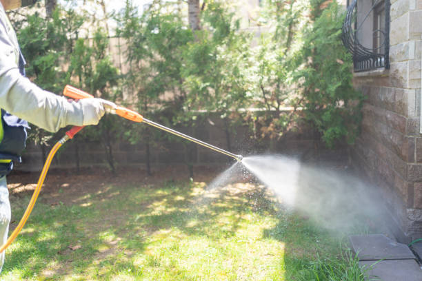 Best Wildlife Control Services  in South Park, WY