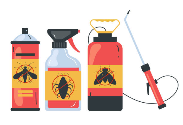 Best Affordable Pest Control Services  in South Park, WY
