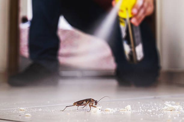  South Park, WY Pest Control Pros