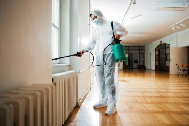 Best Local Pest Control Services  in South Park, WY