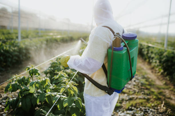 Best Ant Control Services  in South Park, WY